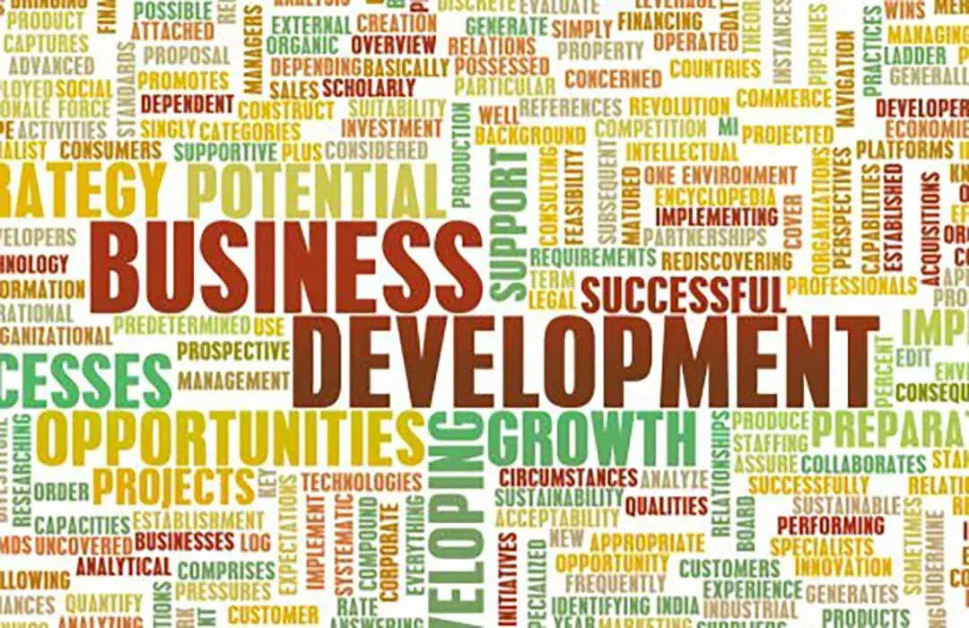 Development Collage